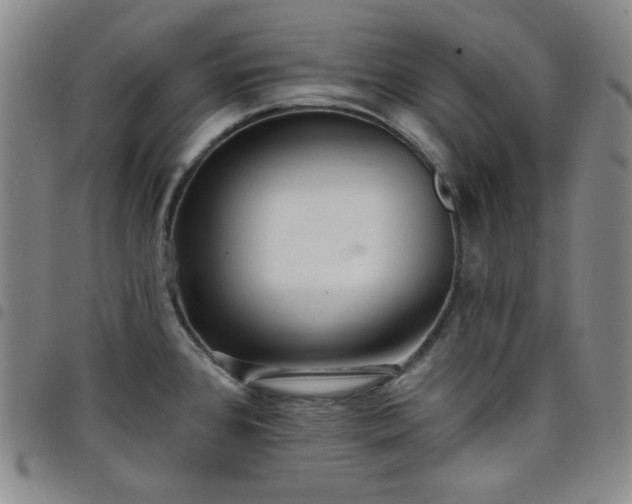 X0000098131384200804241639