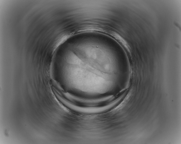 X0000098131385200804241639