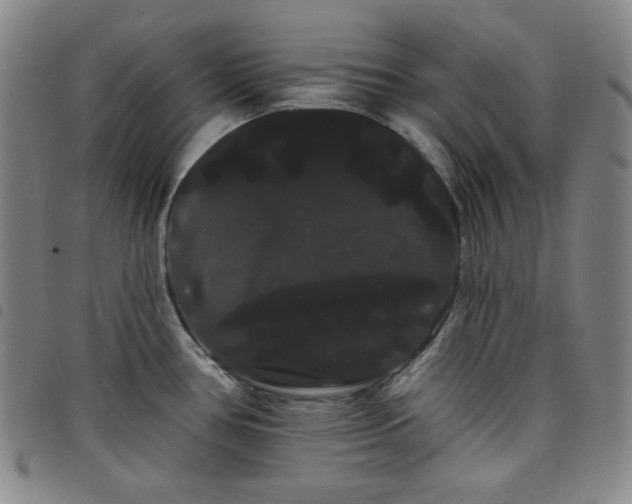 X0000098131386200804241639