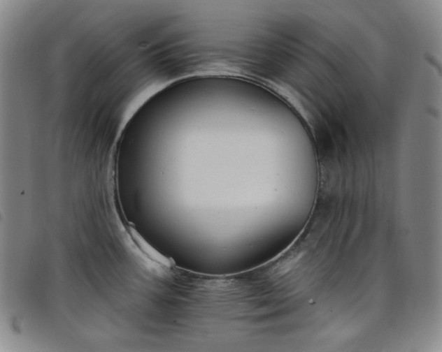 X0000098131387200804241639