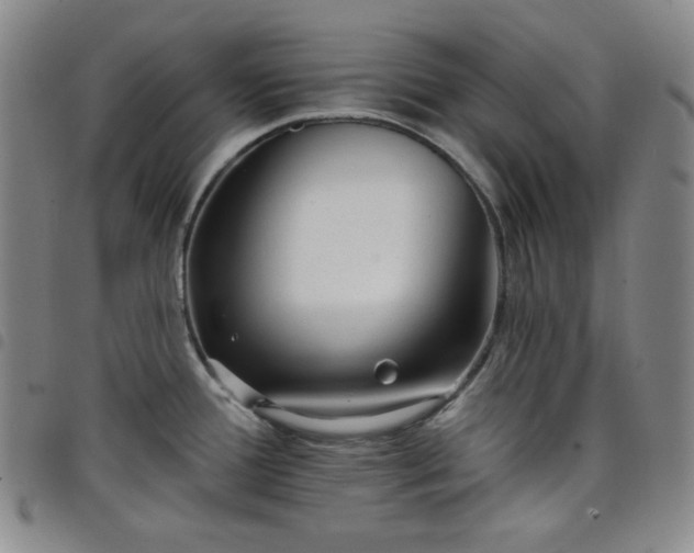 X0000098131388200804241639