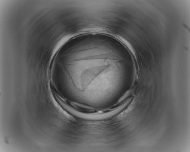 X0000098131389200804241639