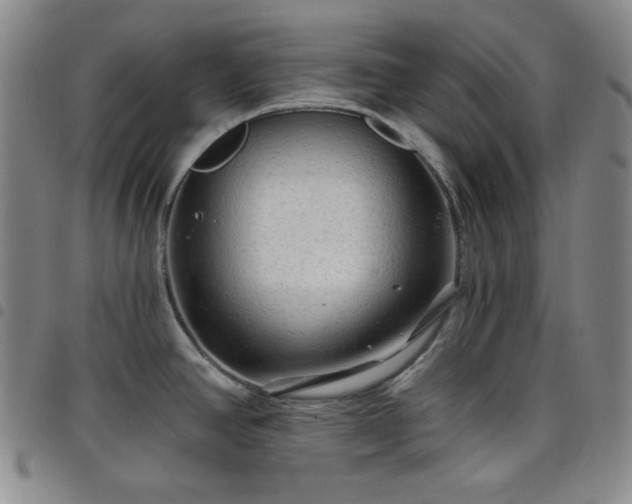 X0000098131390200804241639