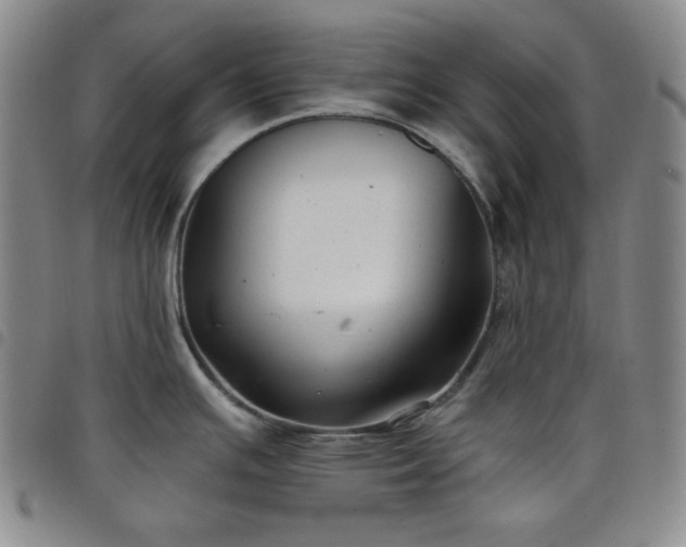 X0000098131391200804241639