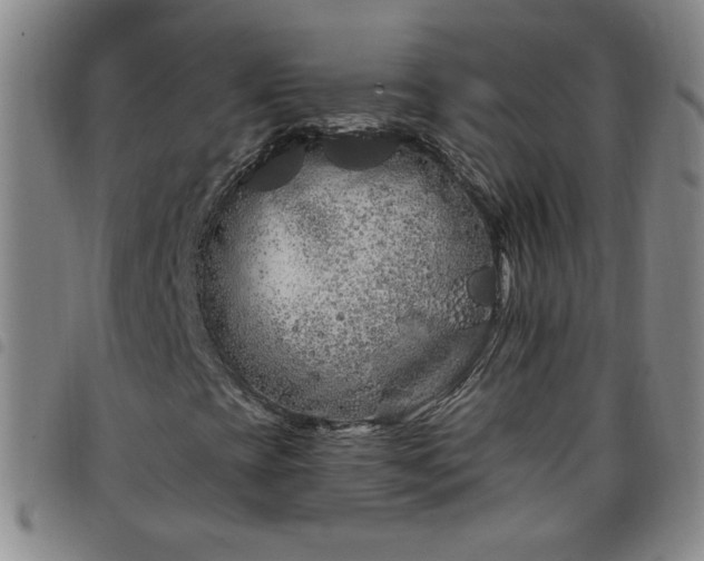 X0000098131393200804241638