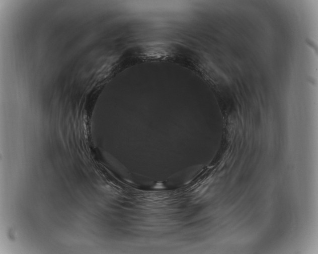 X0000098131394200804241638