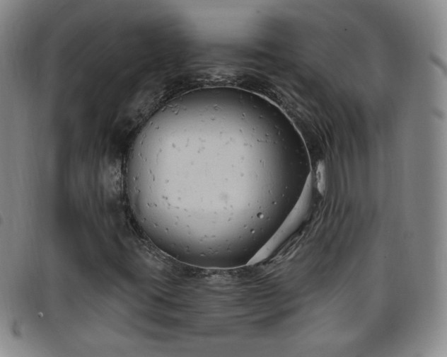 X0000098131395200804241638