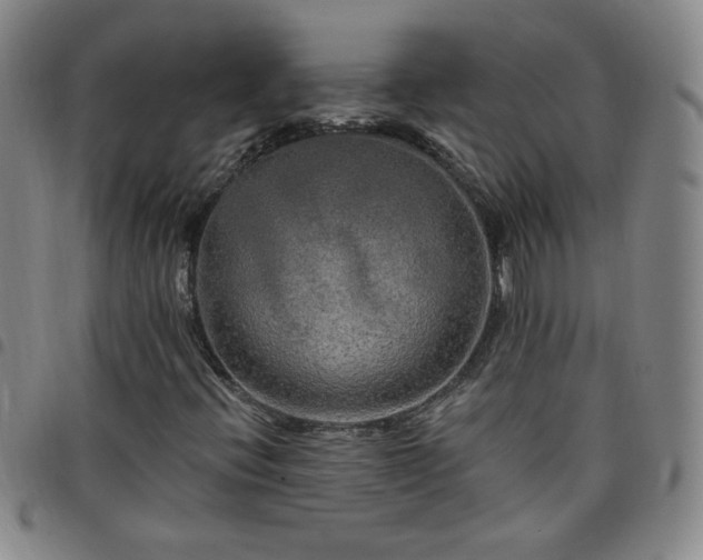 X0000098131396200804241638