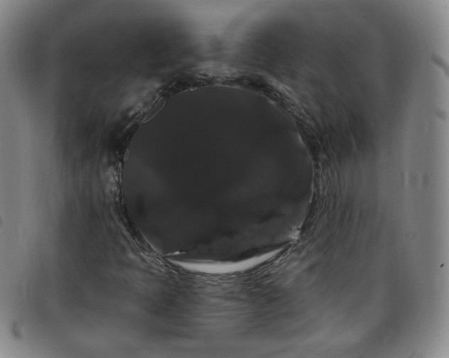 X0000098131397200804241638
