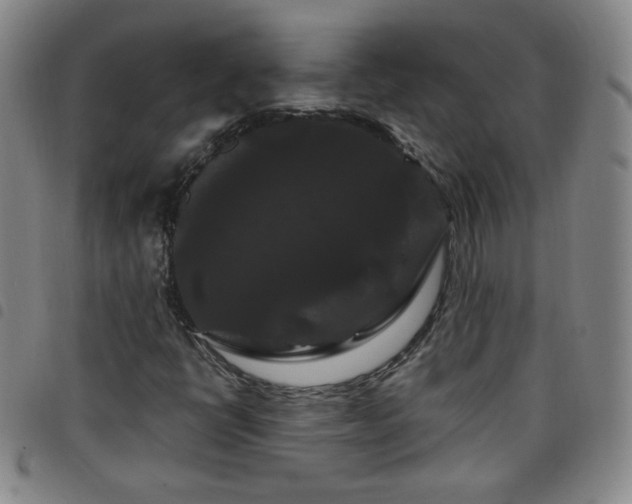 X0000098131398200804241638