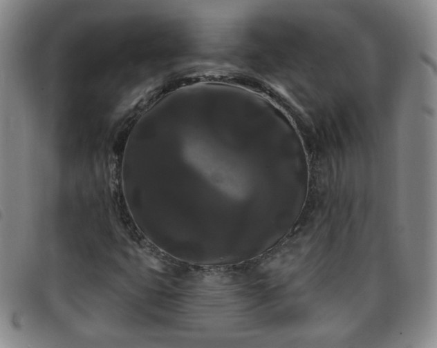 X0000098131399200804241638