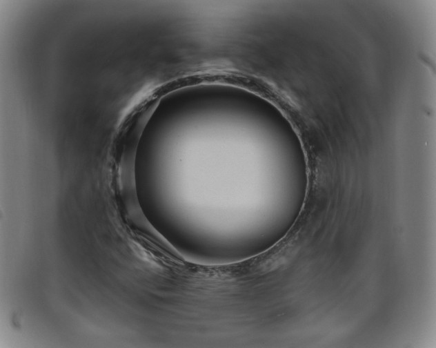 X0000098131400200804241638