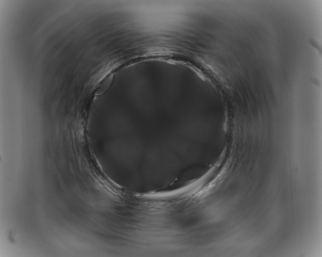 X0000098131401200804241638