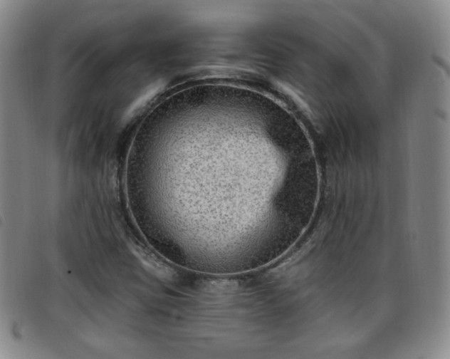 X0000098131403200804241638