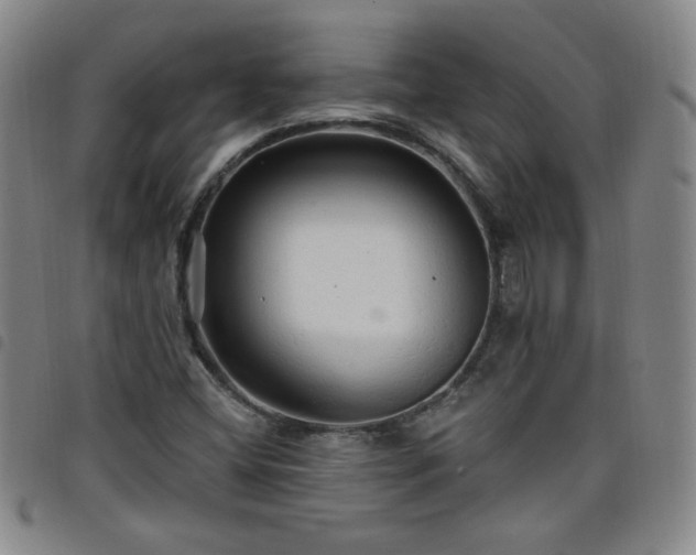 X0000098131404200804241638