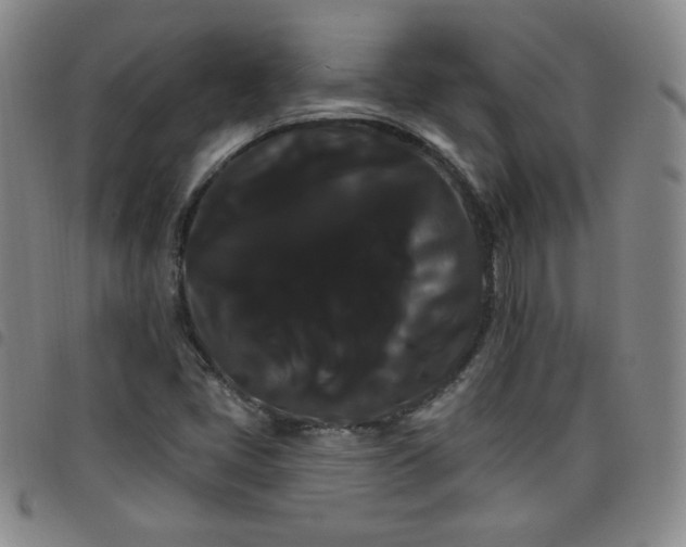 X0000098131405200804241638