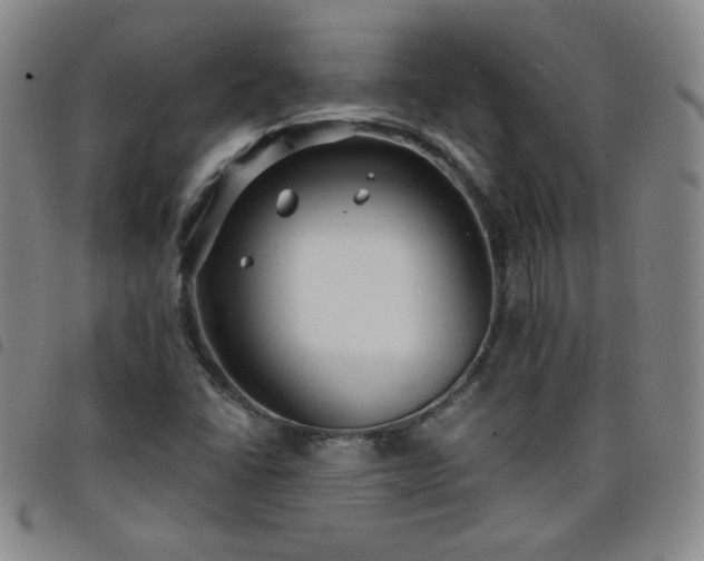 X0000098131406200804241638