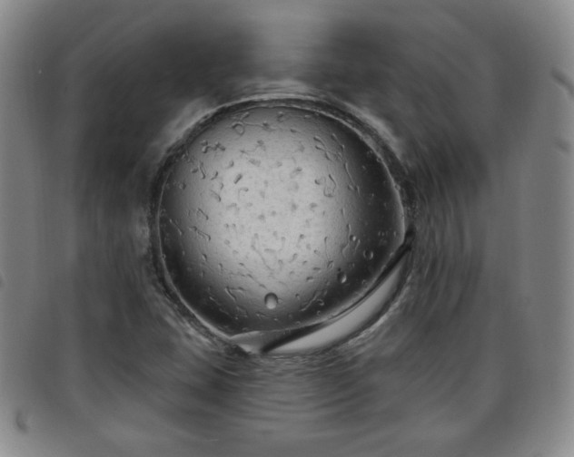 X0000098131407200804241638