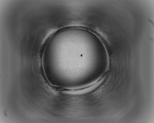 X0000098131408200804241638