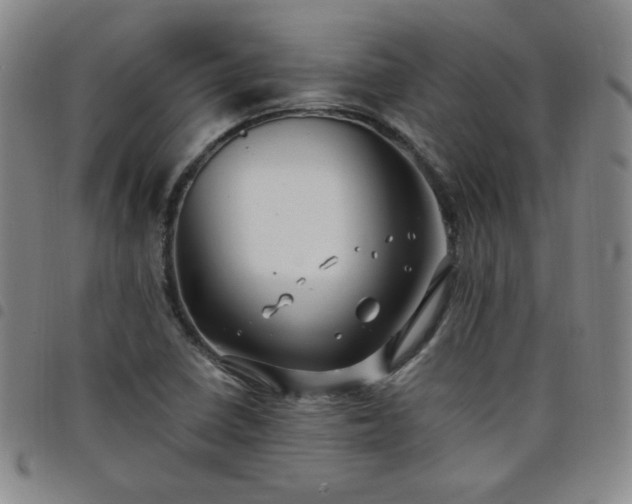 X0000098131410200804241638