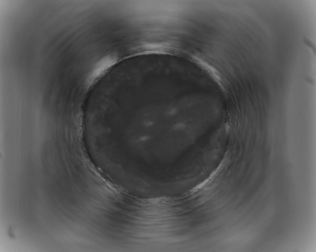 X0000098131411200804241638