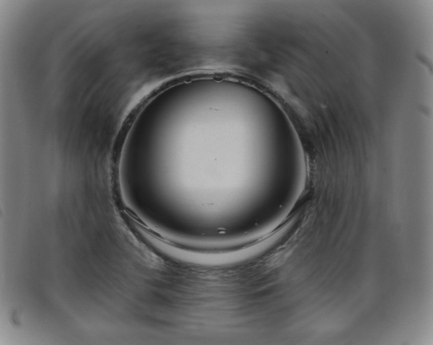 X0000098131412200804241638