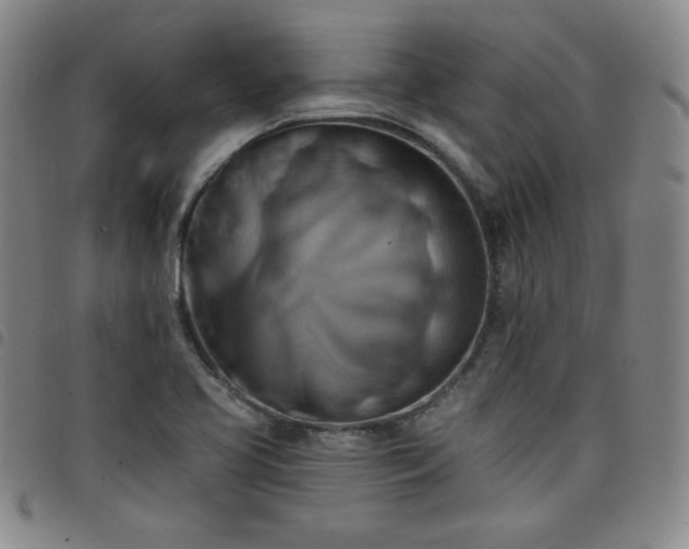 X0000098131413200804241639
