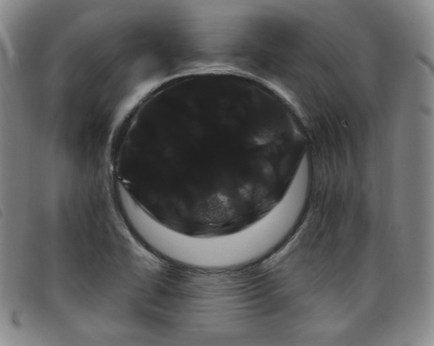 X0000098131414200804241639