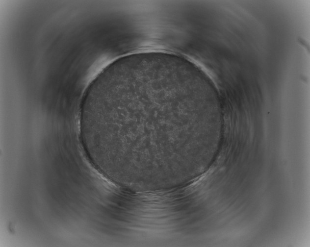 X0000098131415200804241639