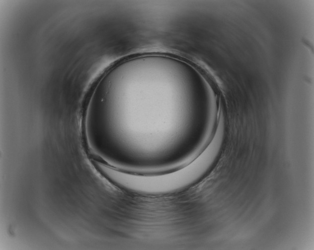 X0000098131416200804241639