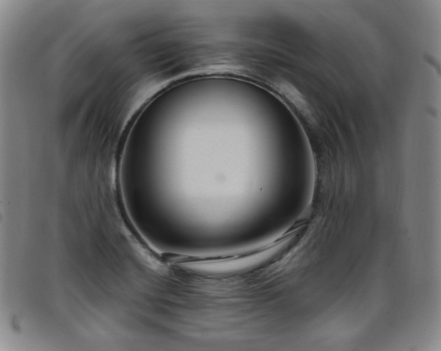 X0000098131420200804241639