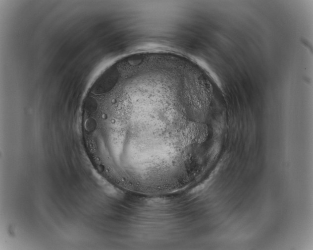 X0000098131421200804241639
