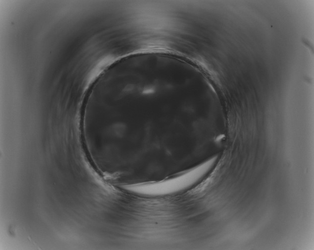 X0000098131422200804241639