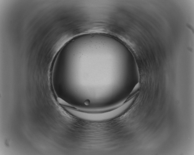 X0000098131423200804241639
