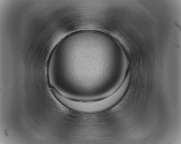 X0000098131424200804241639
