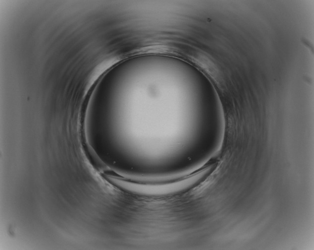 X0000098131426200804241639