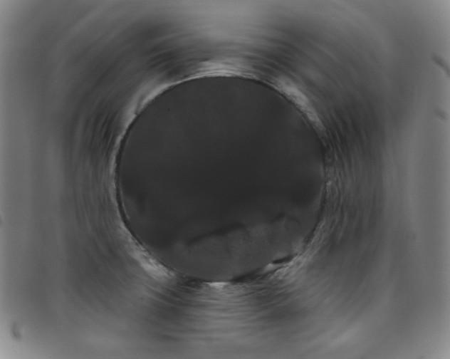 X0000098131427200804241639