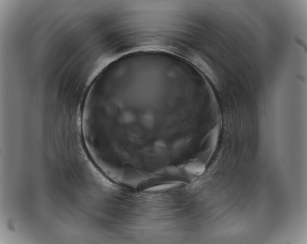 X0000098131428200804241639