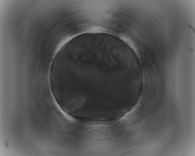 X0000098131429200804241639