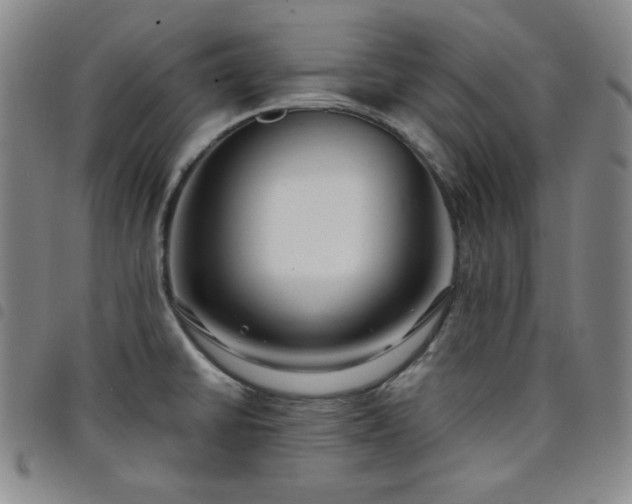 X0000098131430200804241639