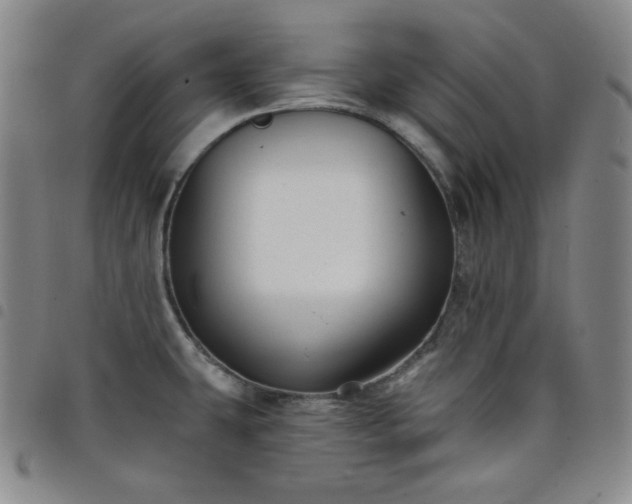 X0000098131431200804241639