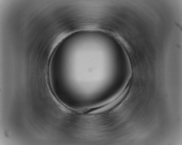 X0000098131432200804241639