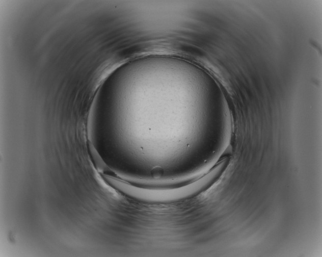 X0000098131433200804241639