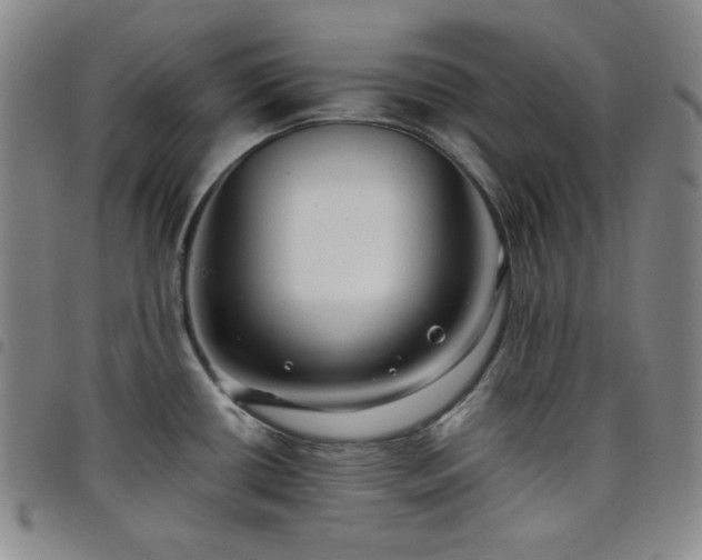 X0000098131434200804241639