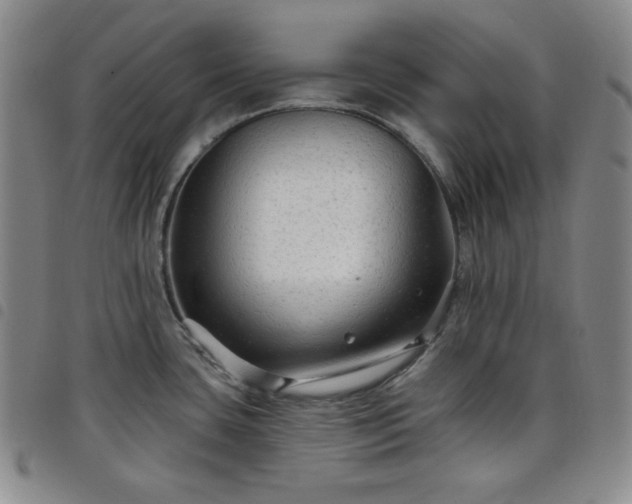 X0000098131435200804241639