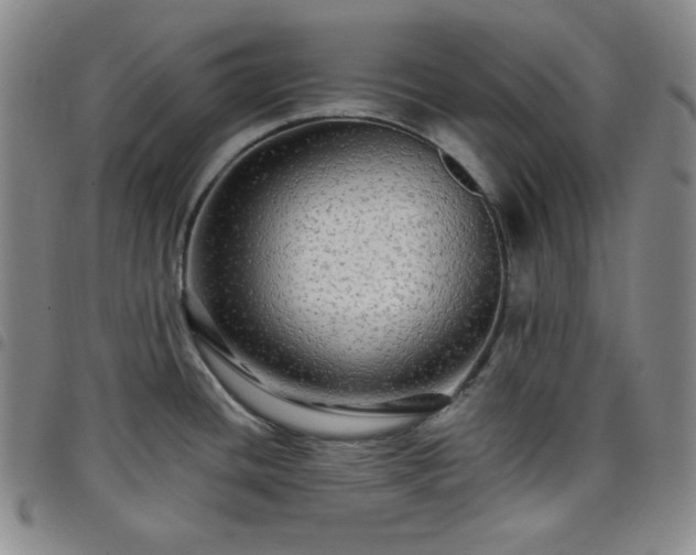 X0000098131436200804241639
