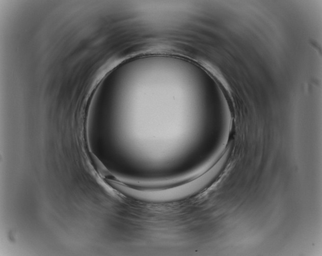 X0000098131437200804241639