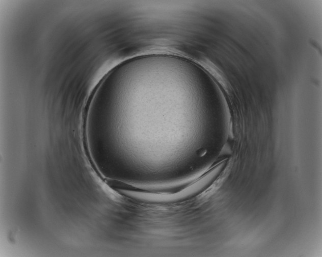 X0000098131438200804241639