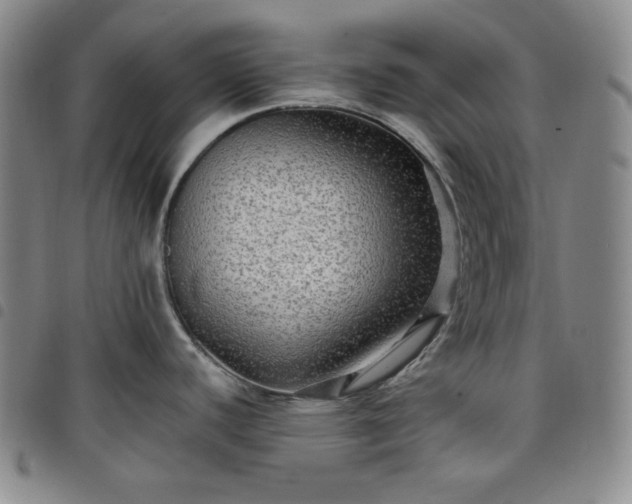 X0000098131440200804241639