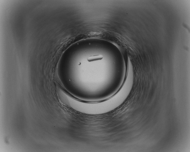 X0000098131441200804241638